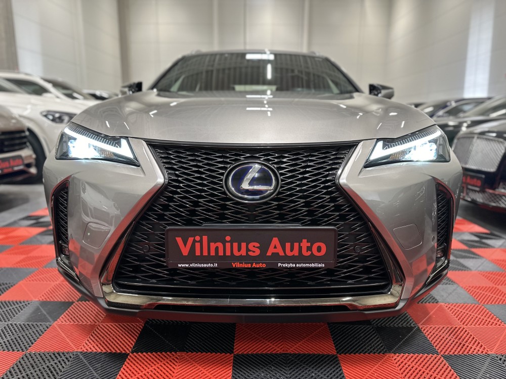 2019 Lexus UX 250h